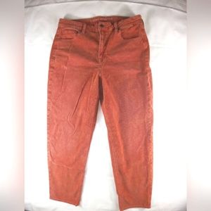 American Eagle Outfitters Corduroy Pants high-rise stretch bronze Women size 16